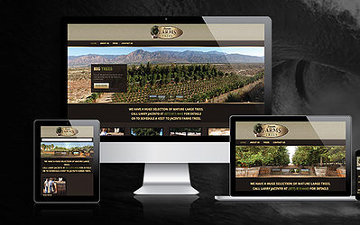 Orange County Website Design