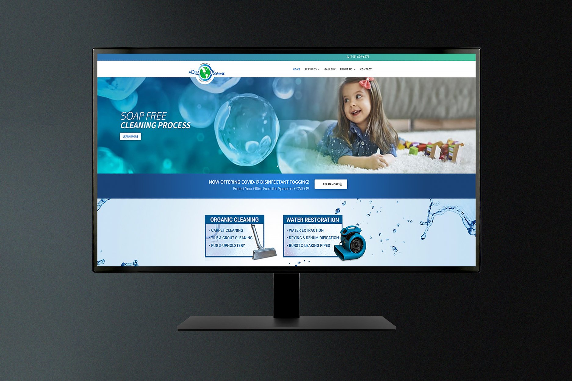 aqua cleanse website design